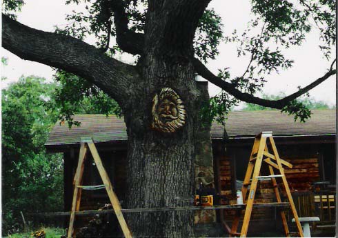 Face Carved in Tree